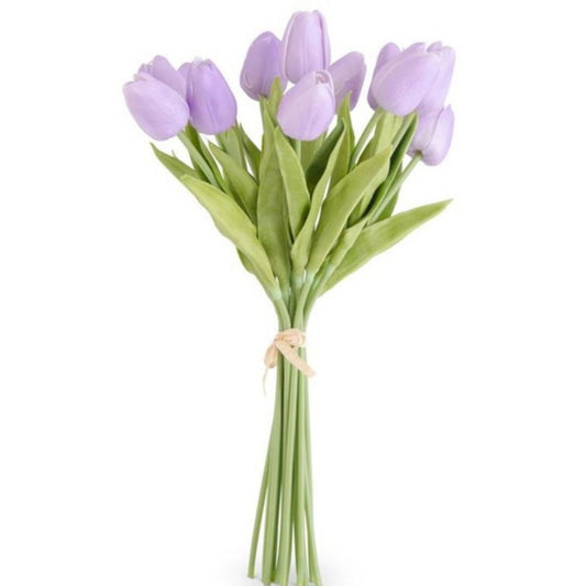 Tulip Purple