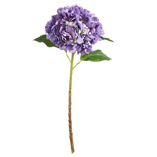 Hortensia Morada