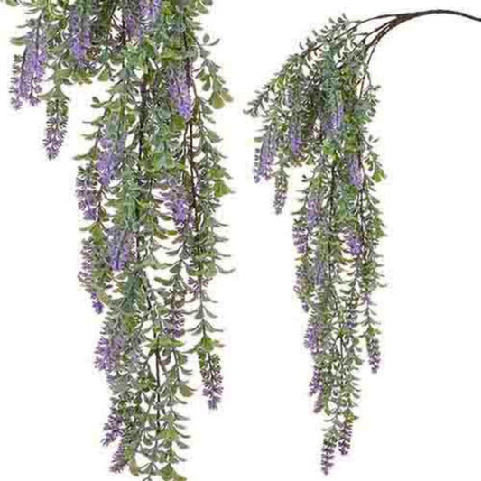 Lavander Vine