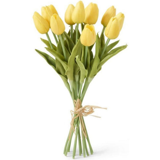 Tulip Yellow