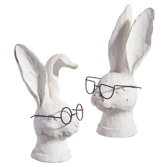 Rabit with glasses