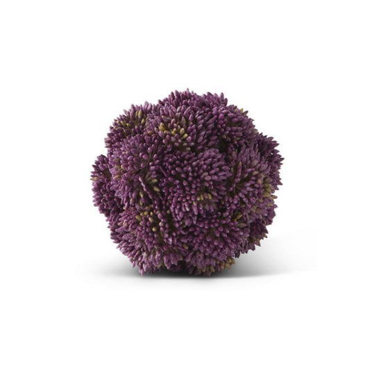 Sedum Ball morada