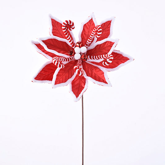 PEPPERMINT POINSETTIA